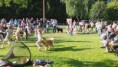 /album/fenykepgaleria/a20170715-182501-jpg/